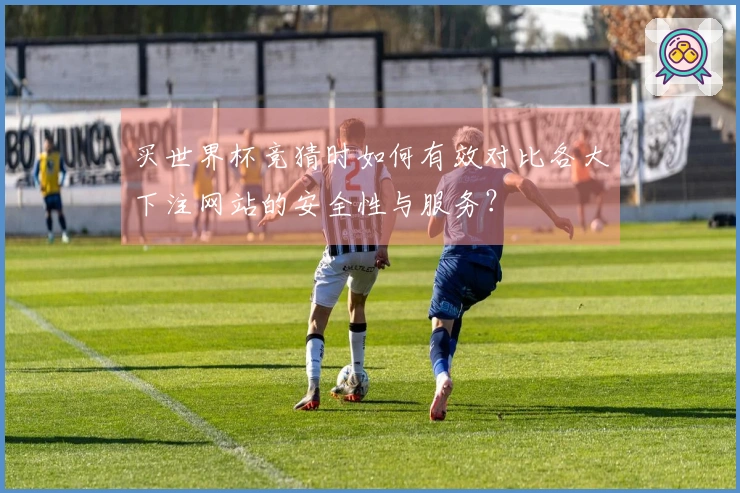 买世界杯竞猜时如何有效对比各大下注网站的安全性与服务？