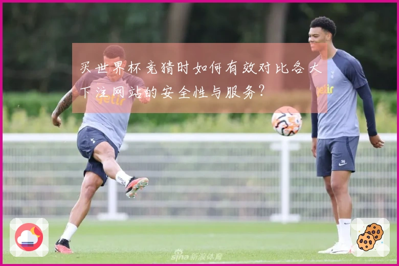 买世界杯竞猜时如何有效对比各大下注网站的安全性与服务？