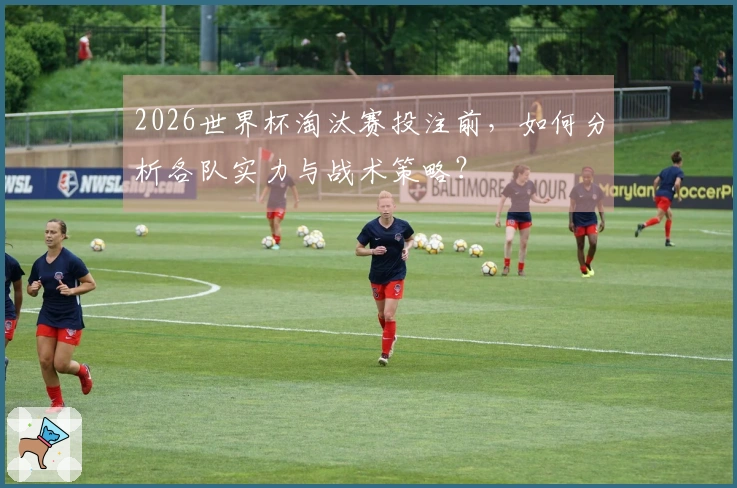 2026世界杯淘汰赛投注前，如何分析各队实力与战术策略？