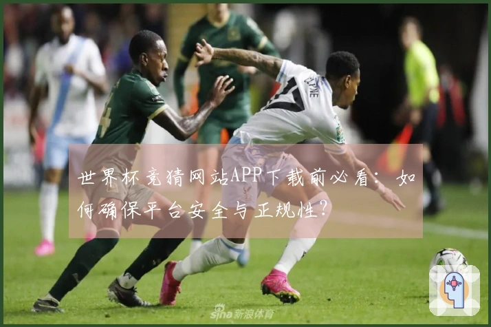 世界杯竞猜网站APP下载前必看：如何确保平台安全与正规性？