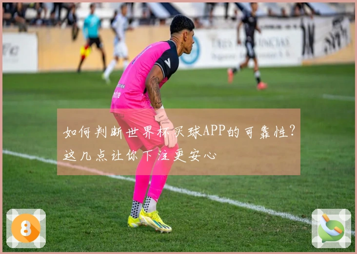 如何判断世界杯买球APP的可靠性？这几点让你下注更安心